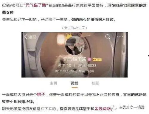 东京热国产视频,揭秘日本成人影视产业的独特魅力