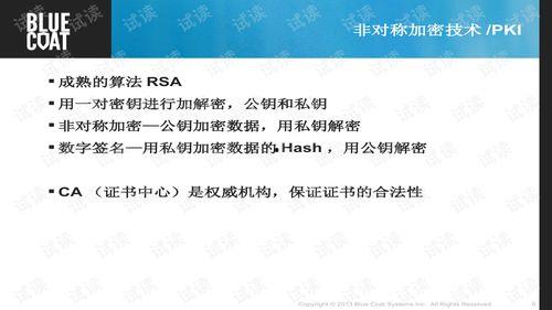 cao国产,历史、文化与现代发展的交融画卷